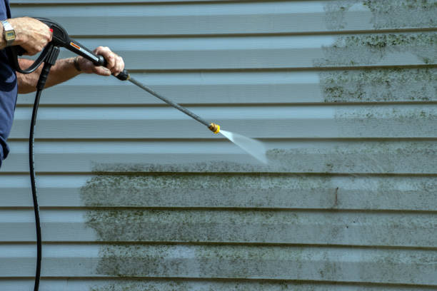 Trusted Bloomfield, NY Pressure Washing Services Experts